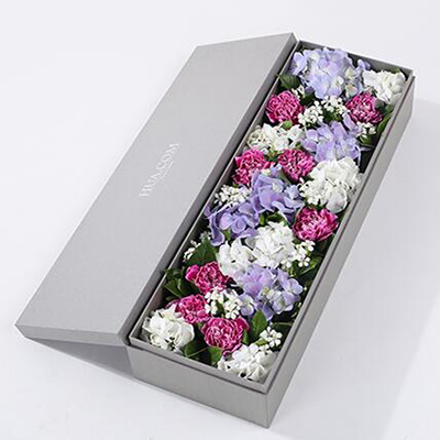 紫色白邊康乃馨8枝、白繡球1枝、藍(lán)紫色繡球1枝